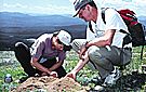 A professor and student in natural observation