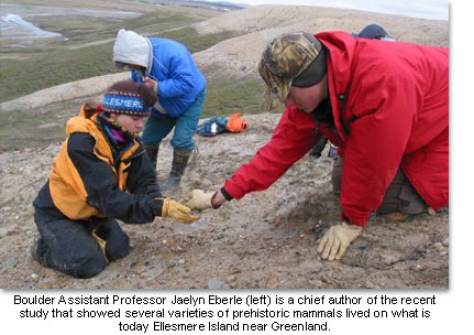 Assistant Professor Jaelyn Eberle working in the field