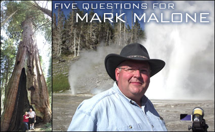 Five Questions for Mary Dando