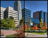 CU Denver, CU Anschutz Medical Campus to gain greater focus from individual chancellors